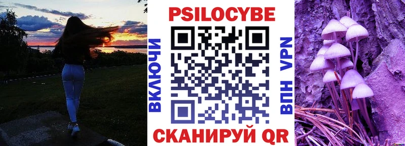 Галлюциногенные грибы GOLDEN TEACHER  дарнет шоп  сайты даркнета какой сайт  Щёлково 